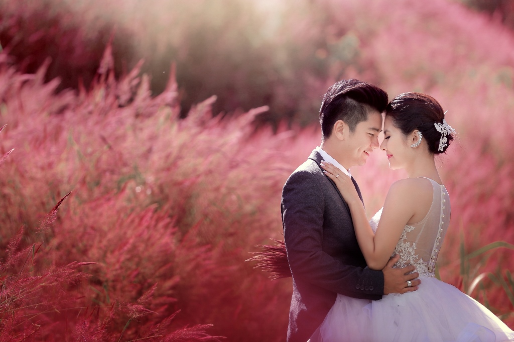 Định luật về cây tre